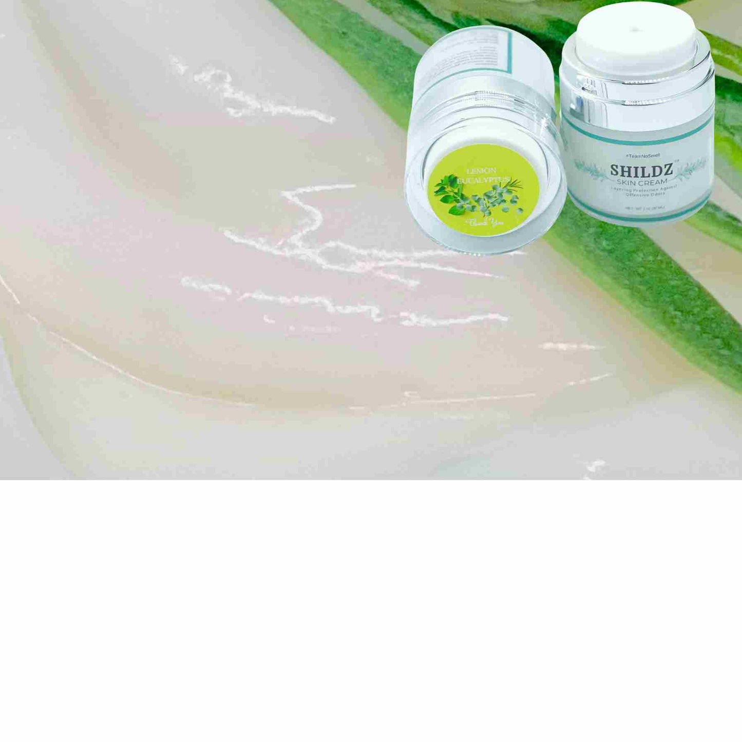 Top Rated Lemon Eucalyptus SHILDZ Deodorant Cream ππΏ | Natural, Aluminum-Free & Antibacterial Protection