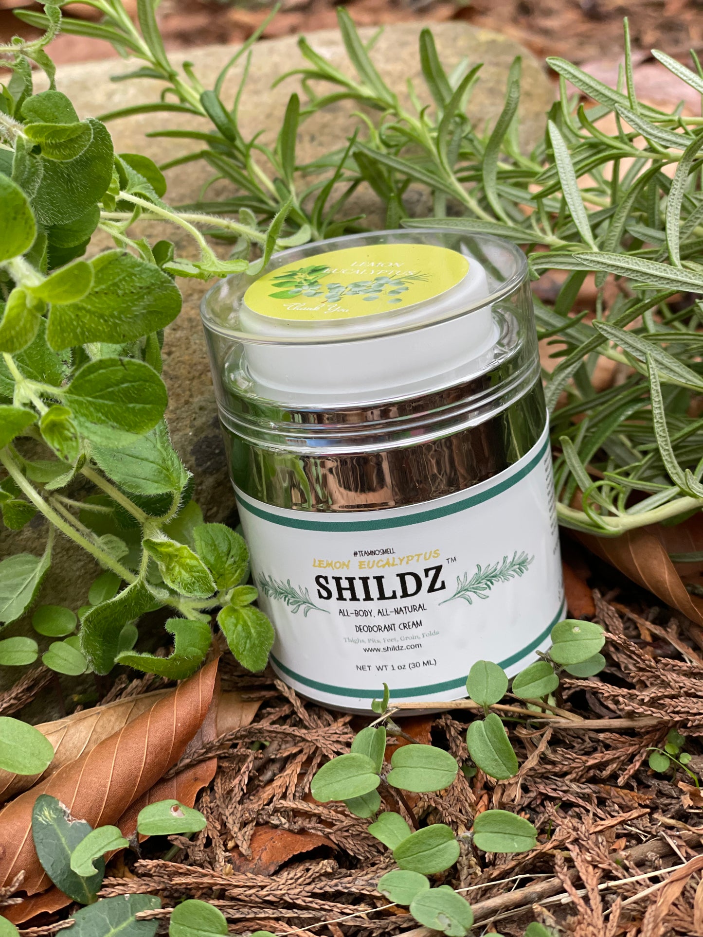 Top Rated Lemon Eucalyptus SHILDZ Deodorant Cream 🍋🌿 | Natural, Aluminum-Free & Antibacterial Protection